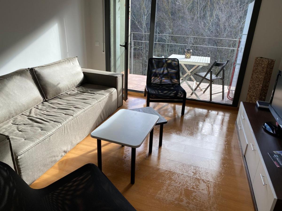 Appartement Duplex Roca Del Sucut à Ribes De Freser Extérieur photo
