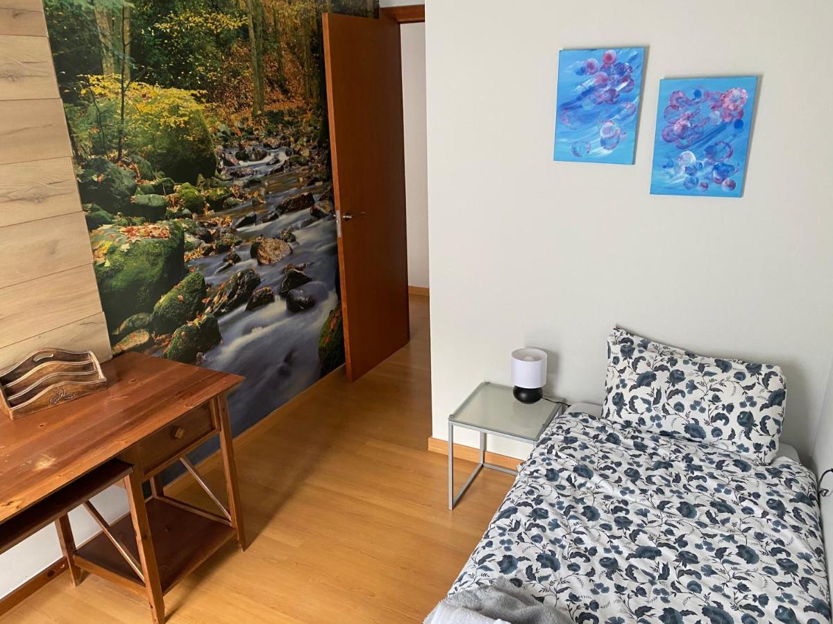 Appartement Duplex Roca Del Sucut à Ribes De Freser Extérieur photo